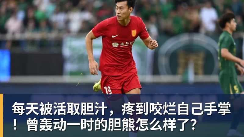 每天被活取胆汁，疼到咬烂自己手掌！曾轰动一时的胆熊怎么样了？