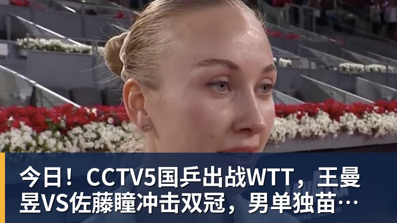 MK体育今日！CCTV5国乒出战WTT，王曼昱VS佐藤瞳冲击双冠，男单独苗周启豪PK松岛辉空