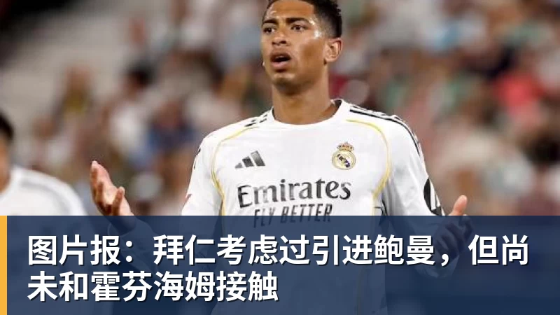 图片报：拜仁考虑过引进鲍曼，但尚未和霍芬海姆接触